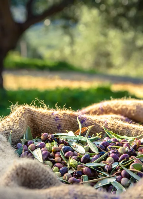 Responsabilidad Social Corporativa